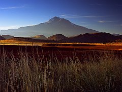 Mount Shasta, California